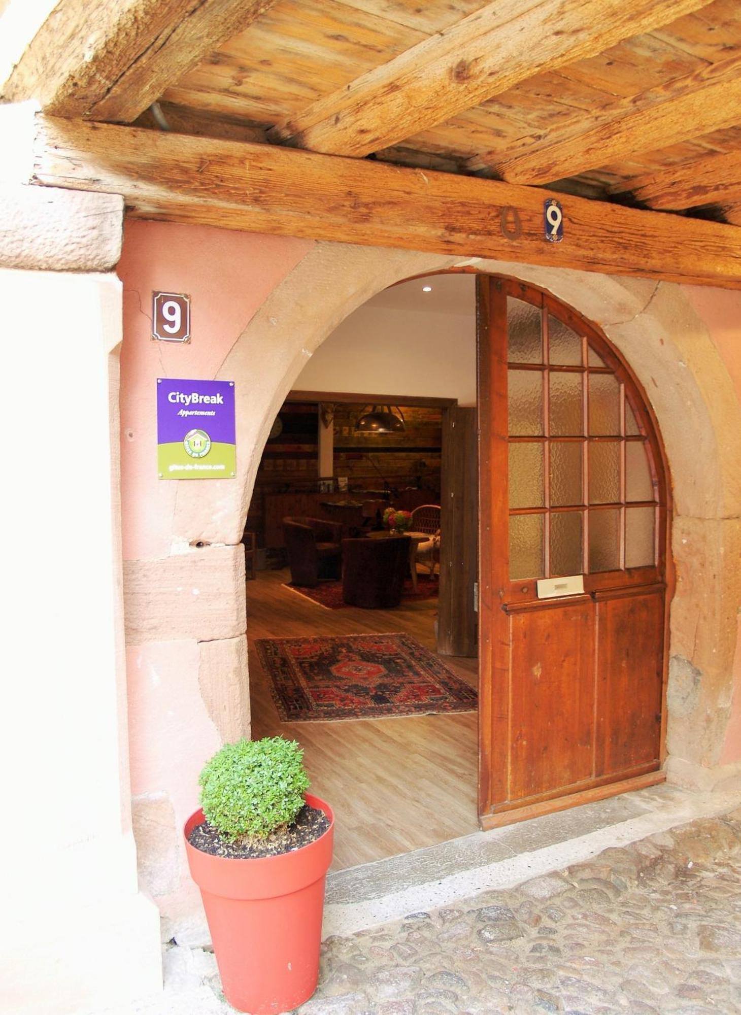 Les Appartements De Louise Riquewihr Exterior foto